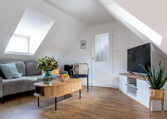 Sarki-haz * زيغليجيت